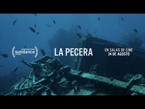Trailer Oficial [ENG SUB]