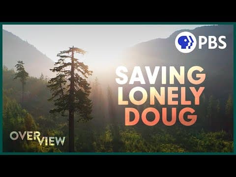 Inside the Fight to Save an Ancient Forest (and the Secrets it Holds) | Overview