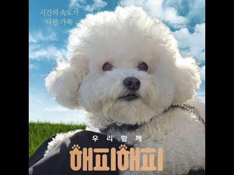 영화 해피해피 영문 예고편
