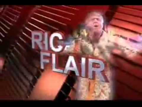WWE Vengeance 2006 Match Card