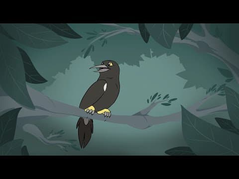 O'o: The Last Voice of Kauai - Animated Short Film 2022