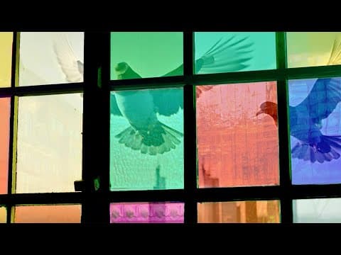 Gerhard - trailer | IFFR 2025