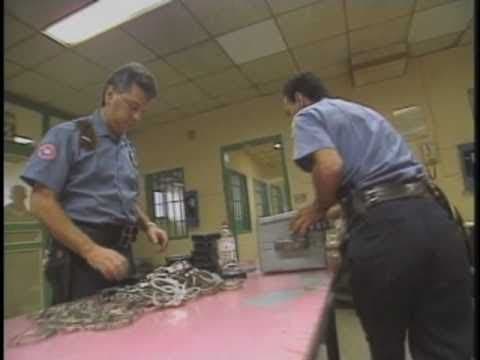 Lock Up: The Prisoners of Riker's Island [Trailer]