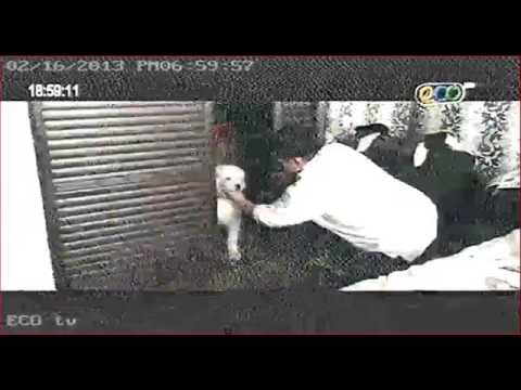 Сарны Гөлөг УСК 2013 02 18 аас өдөр бүр Тэнгис, Өргөө кино театрт