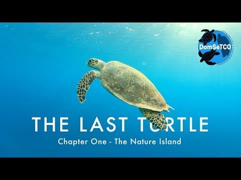 The Last Turtle | Ep.1, The Nature Island
