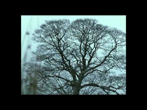 Official US Theatrical Trailer