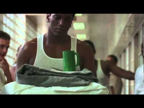 The System Within - Trailer