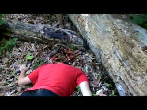 Limestone Burning - Behind the Scenes #1
