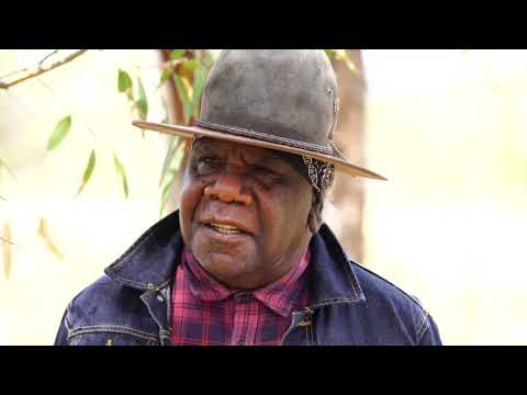 Colebrook Trailer 2