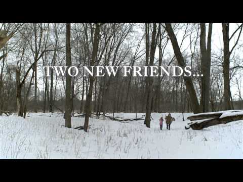 The Christmas Bunny Trailer