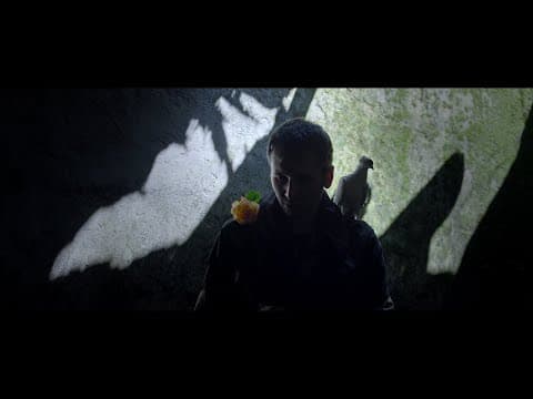 Sermon To The Birds (Quşlara Xütbə) [2023] - Official Trailer