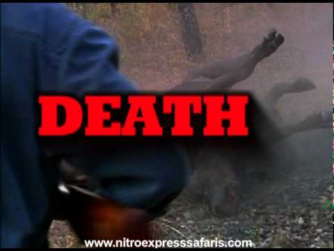 Death at my Feet Trailer