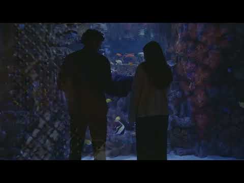 Altar Egos (2025) dir. Mayrav Estrin | Official Trailer