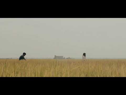 The Lost Piece Trailer
