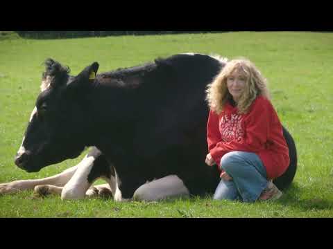 Juliet Gellatley: Help Us Expose the Truth About Dairy