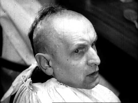 Dvanáct křesel