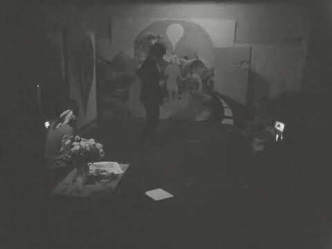 Frank Eidlitz Collection: Brett Whiteley (original footage)
