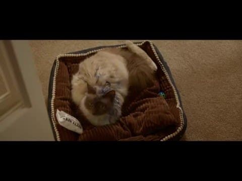 Golden Years Trailer