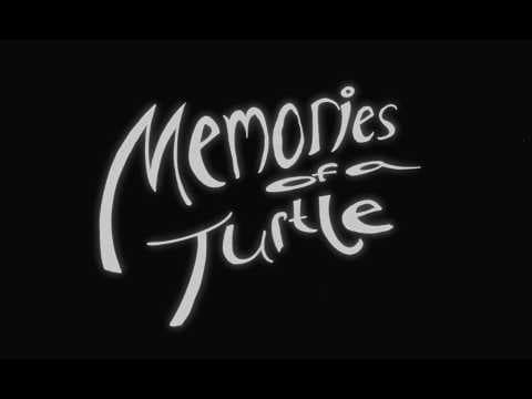 MEMORIES OF A TURTLE | Teaser Trailer