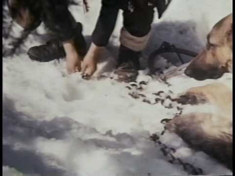 Lone Wolf - Scene