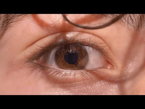 Eye of the Creator