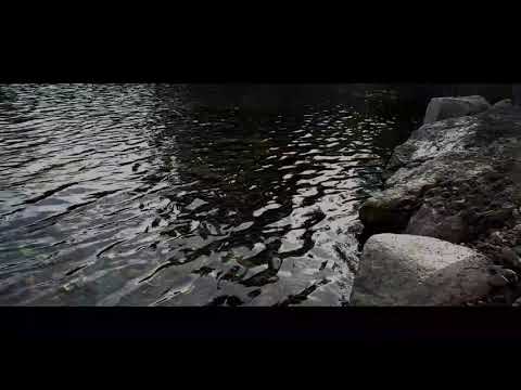 Fatherland - Official Trailer 2