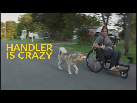 Handler is crazy (service dog team documentary)