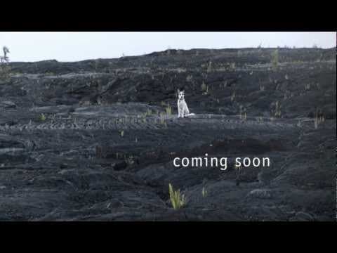 Official Theatrical Trailer