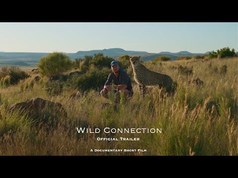 Wild Connection - Official Teaser