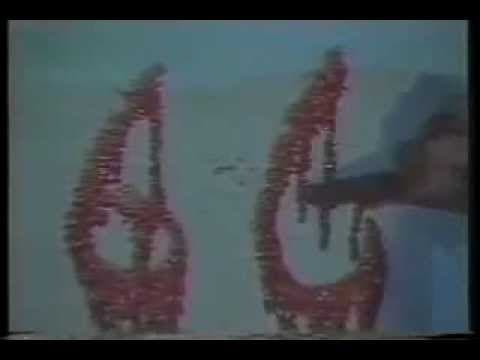THE BURNING MOON Trailer