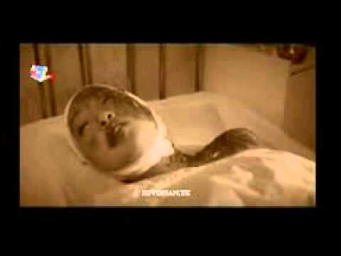 haluunsetgel amid burhan ijii