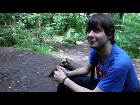 THE HAMLEIGH DISAPPEARENCES Commentary
