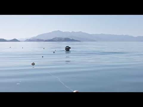 Trailer UNA CORRIENTE SALVAJE (A WILD STREAM) de/by Nuria Ibañez Castañeda
