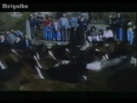 RAPA DAS BESTAS 1993 - FRAGMENTO DO FILME DE C. PIÑEIRO
