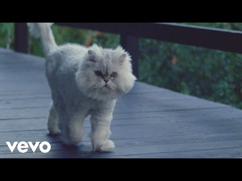 Joywave - Permanent Pleasure | A Film by Joywave
