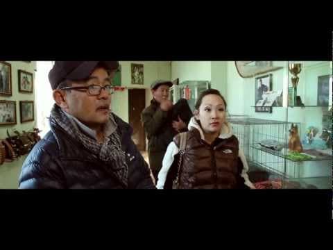 SARNII GULUG kino / САРНЫ ГӨЛӨГ уран сайхны кино
