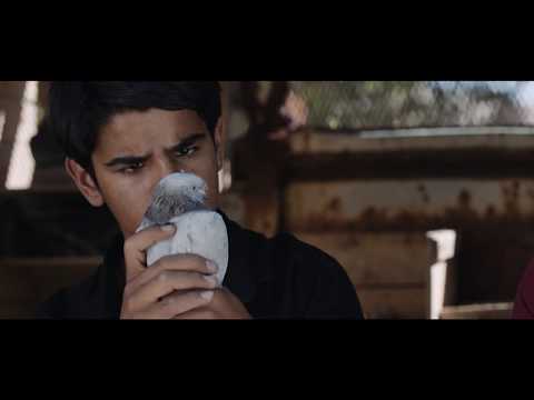 Official Trailer