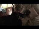 KillerKiller Trailer
