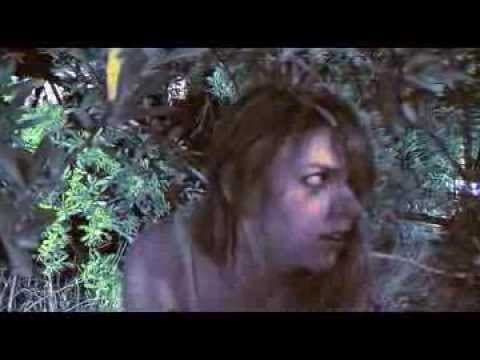 The Desires of Dawn Trailer