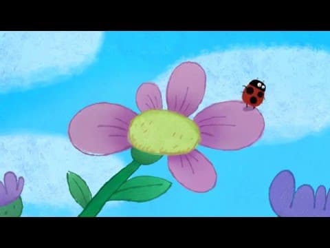 Ladybug