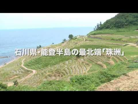 ひとにぎりの塩 予告編