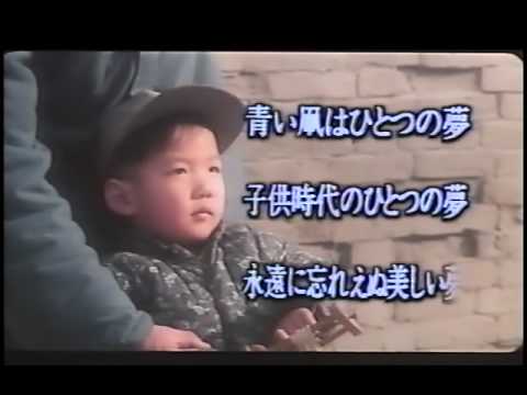 青い凧 ( 蓝风筝 The Blue Kite ) プロモ