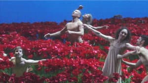 Prince Igor