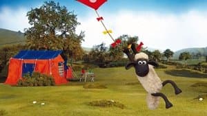 The Kite