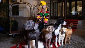 Fashion Divas and Roller Girls