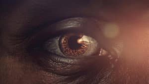 Human: Origins