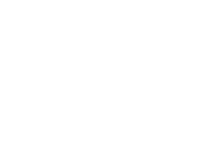 LioFrame