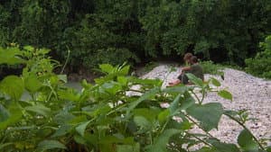 Episode 42