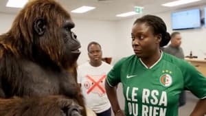 Racism in AI: Beware of the gorillas!