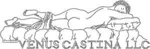 Venus Castina Productions
